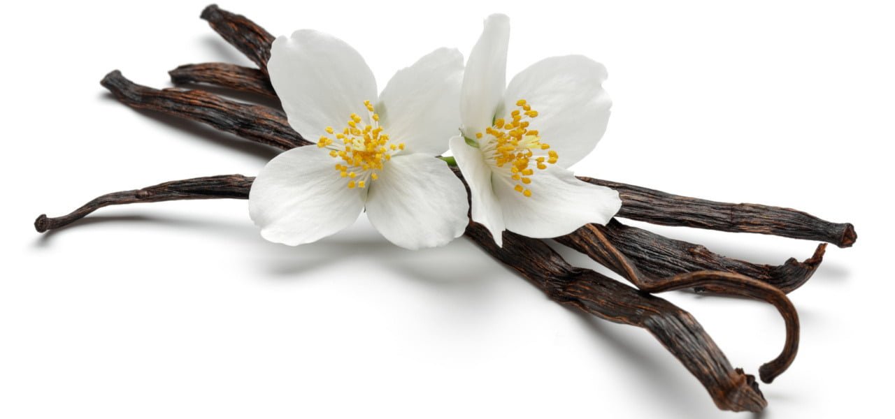 Sweet Secrets of Vanilla Essential Oil